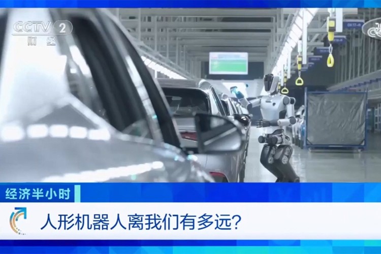 中央電視臺《經(jīng)濟半小時》欄目對MILE米樂機器人的專題報道